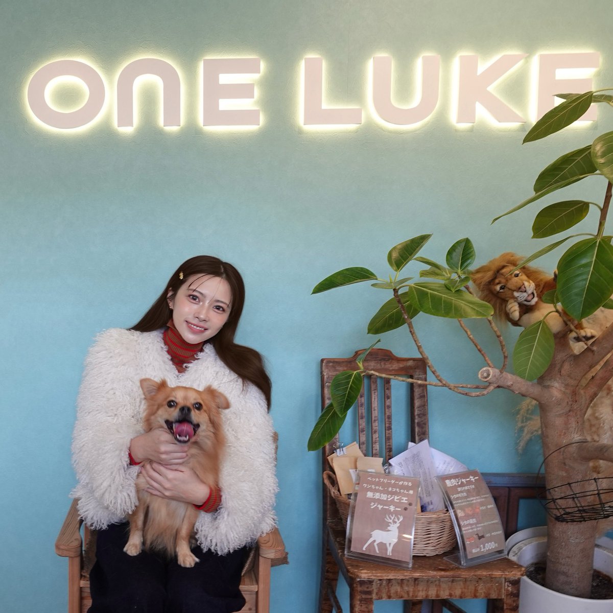 ひろな ひろな (@hirona523) / Posts / X