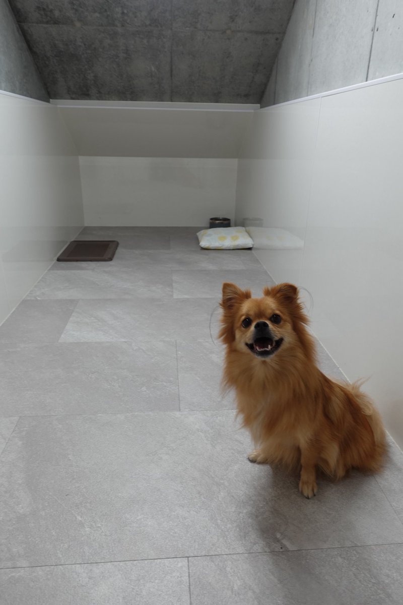 ひろな (@hirona523) / Posts / X