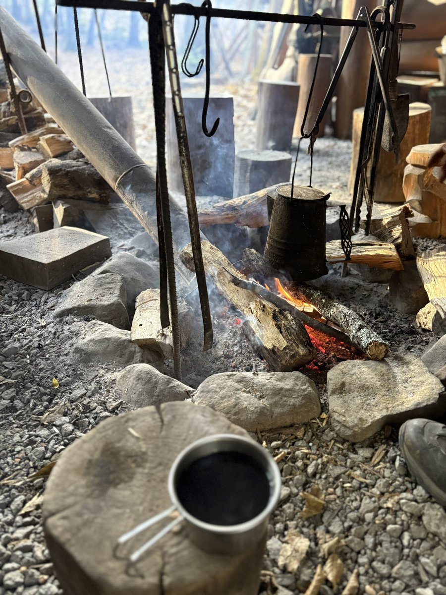 だーやま🏕️🍜🐰 tweet media