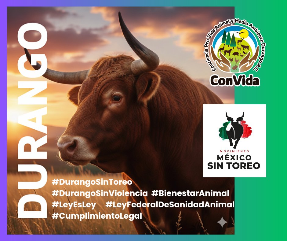 Portavoz Animal Durango 🐾 tweet media