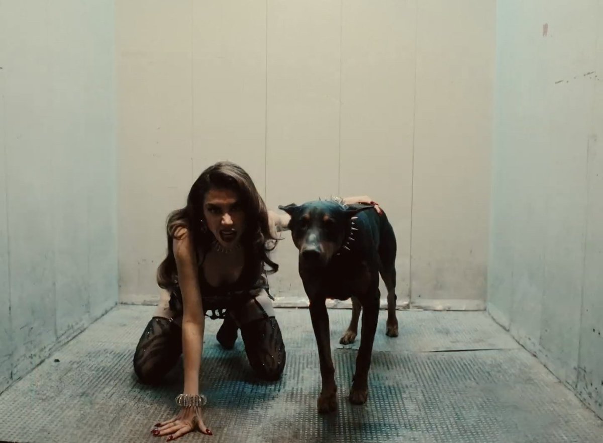 TiremosFactos's tweet image. Como nos ven / como somos 
#Perrisimxs