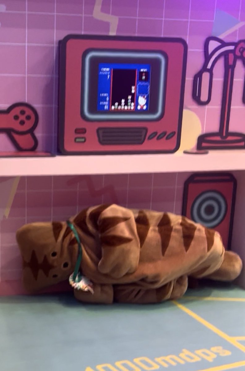 まどり🐇 (@3ldk_madi) / Posts / X