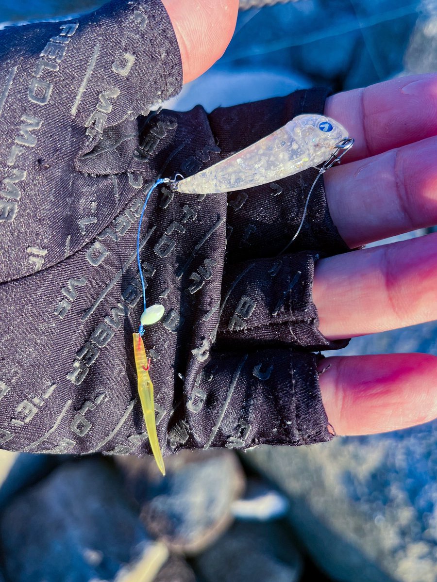 チキュー (@chikyu523) / Posts / X