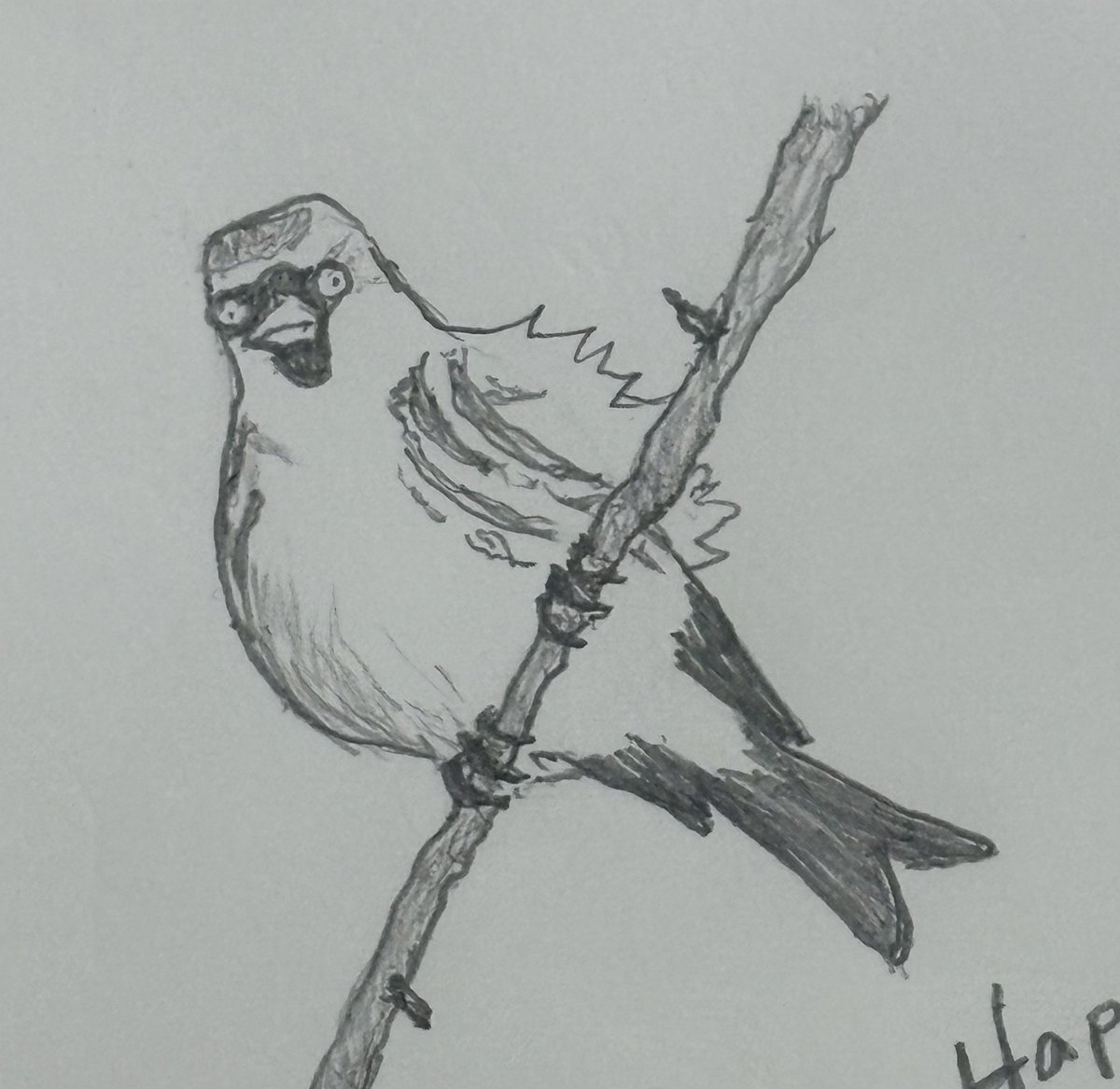 ClasslessTulip's tweet image. 