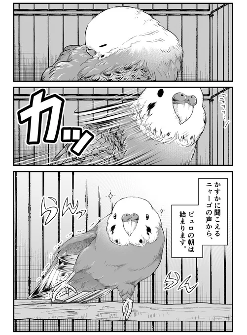 らんらんっ

本日発売のビッグコミック12月増刊号に『ニャーゴとピュロロロ』が2話掲載されております🦜☀️✨ 