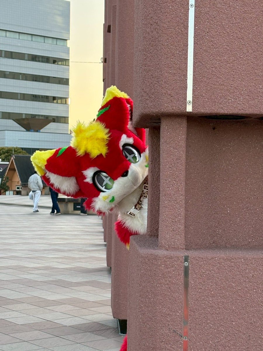 なかまに なりたそうに こちらをみている！
#KSF4th
#ケモノをみて今週もがんばりマンデー