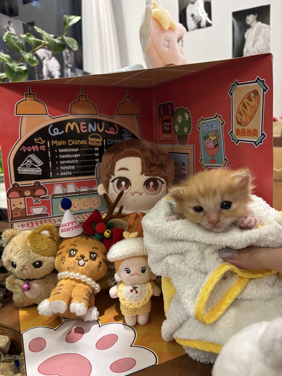 forefofore's tweet photo. 심장을 많이 아프게 했던 애기조밍구...🐈
입고튀고 싶었던 유니폼... (만져는 봤다..🤣
감사합니다❣️ https://t.co/aaD1WzTzj8