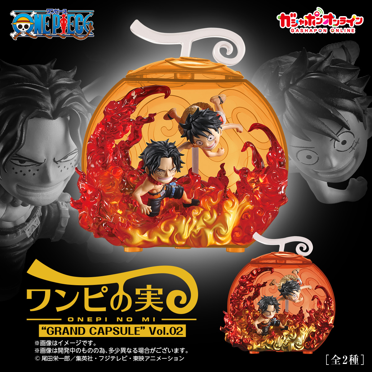 From TV animation ONE PIECE ワンピの実 “GRAND CAPSULE” Vol.02 