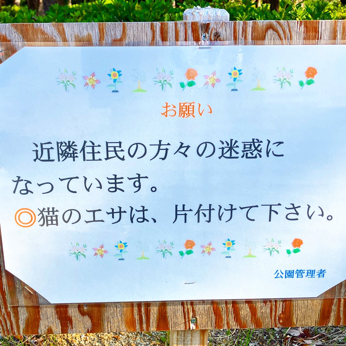 nakamuraVLOG's tweet photo. 地域猫ちゃんへの餌やり自体は否定しない優しい公園👍片付けは必須！ https://t.co/qyvXMZTLLM