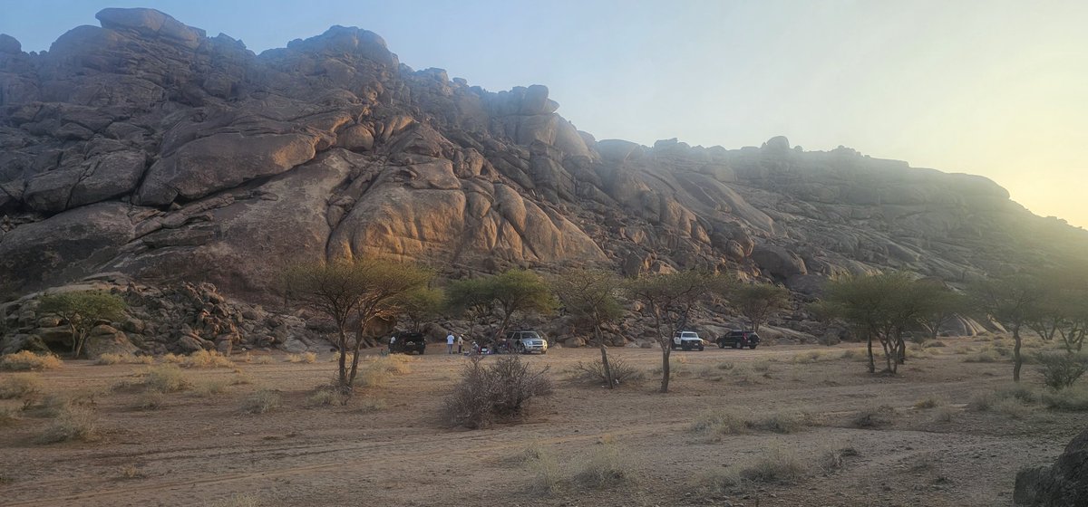 #هايكنج_المدينة tweet media