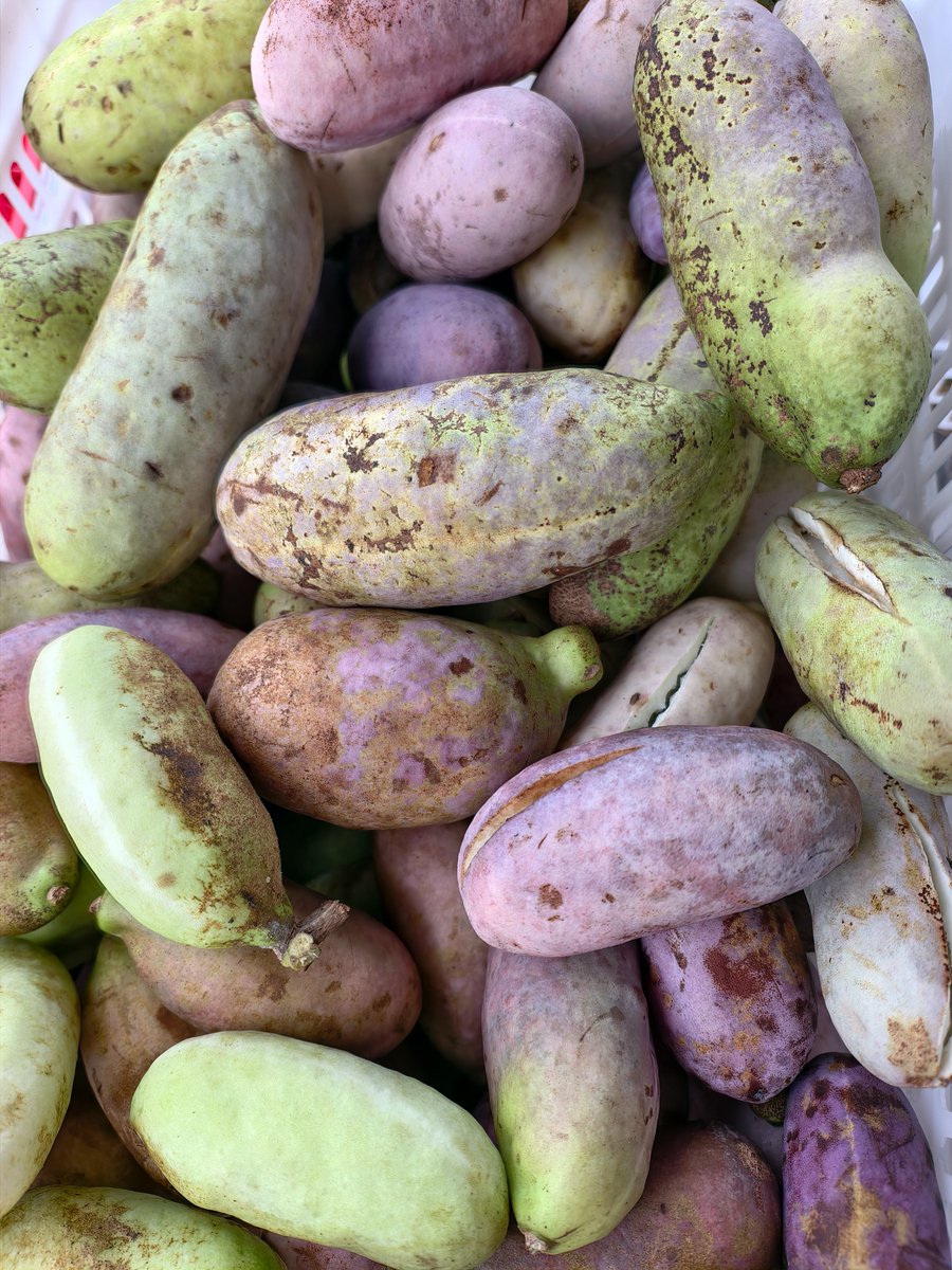 chinn Wan（互fo互赞） tweet media