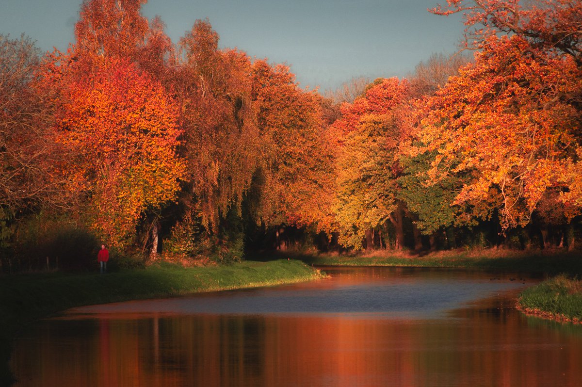 That time of the year.. 🍂
#photography #fall #nature #Almelo