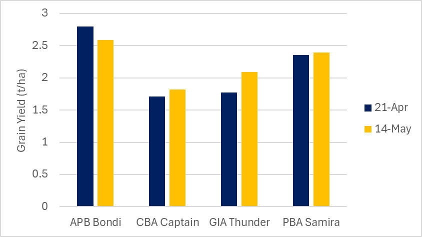 Rohan Brill tweet media