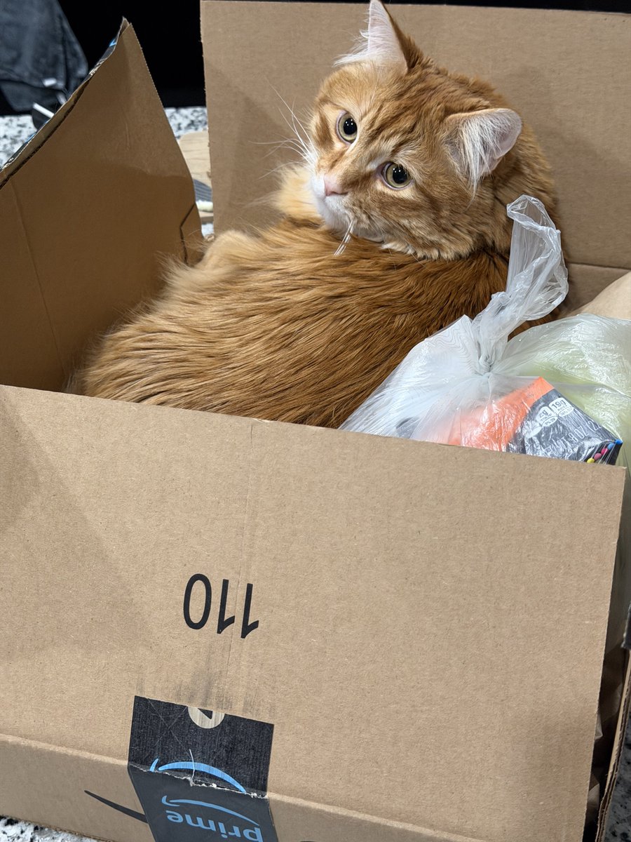 AJamesMcCarthy's tweet image. Okay, I guess I’ll stop adding trash to that box 🙄