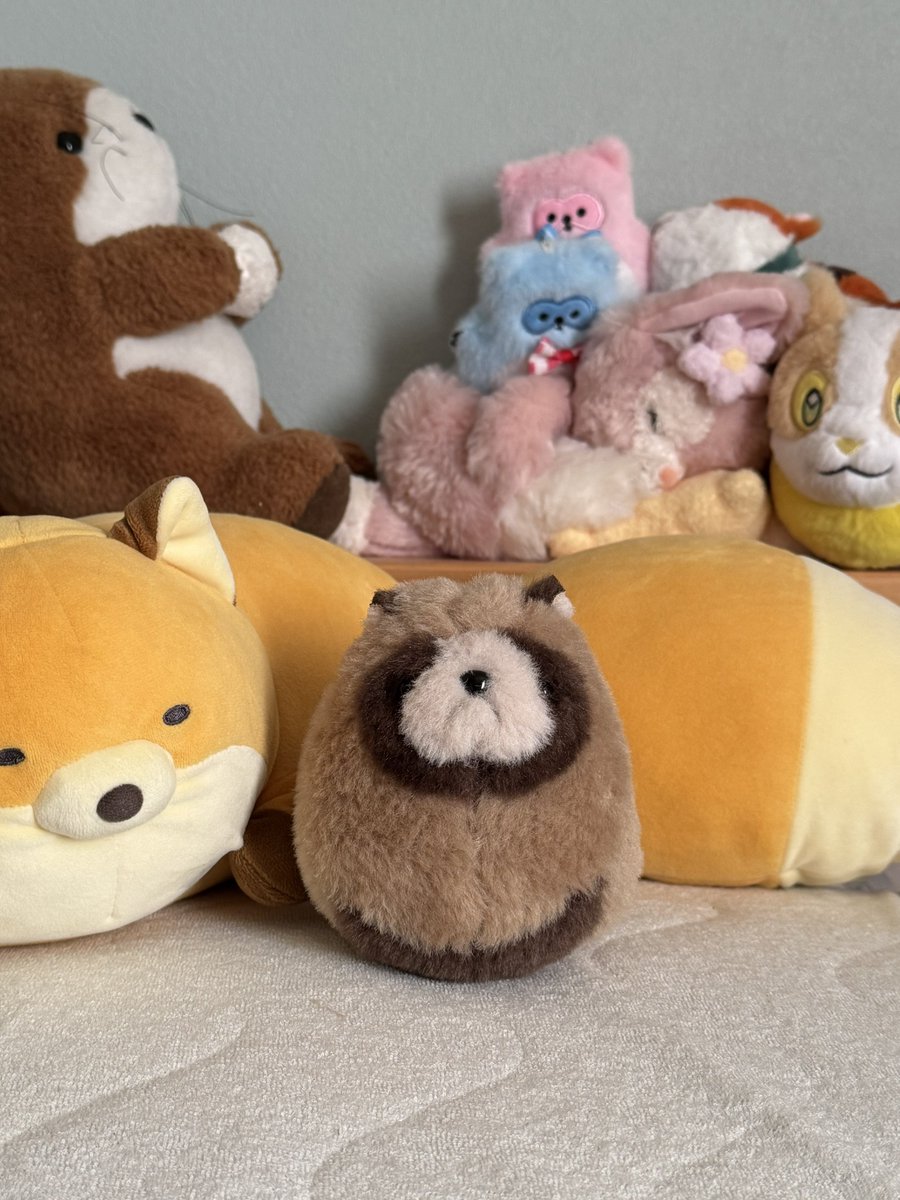 BanMof ばんばぱえりあ ラッコ ブラウン ぬいぐるみ BanMof ばんばぱえりあ ラッコ ブラウン ぬいぐるみ 2025年最新