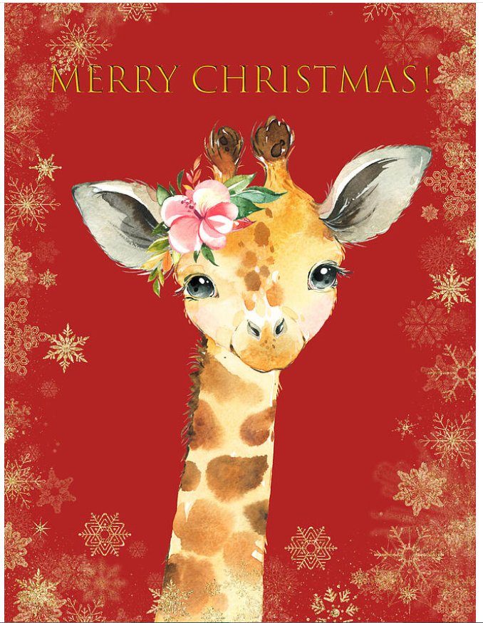 HurmerintaArt's tweet image. All greeting cards are 25% off list price. 😄 Today! Johanna-hurmerinta.pixels.com

#christmascards #cards #birthdaycards #art #artistmade