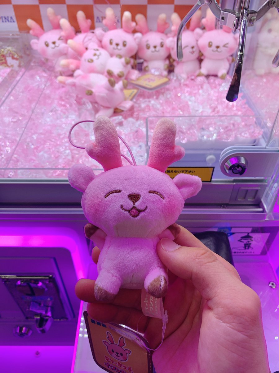 八の字眉の子が欲しくて800円ほど使って奥に行ってしまい…ワンチャン手前の子狙ったら200円でGETした（笑）

人生ってこんな感じだよね（笑）

良い笑顔してるわ、この子🦌

#イワシカ 
#ましゅもっち