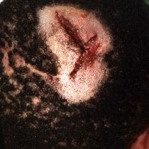 Raymond Parra 𝕏 tweet media