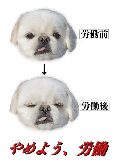 働いてないけど毎日これ