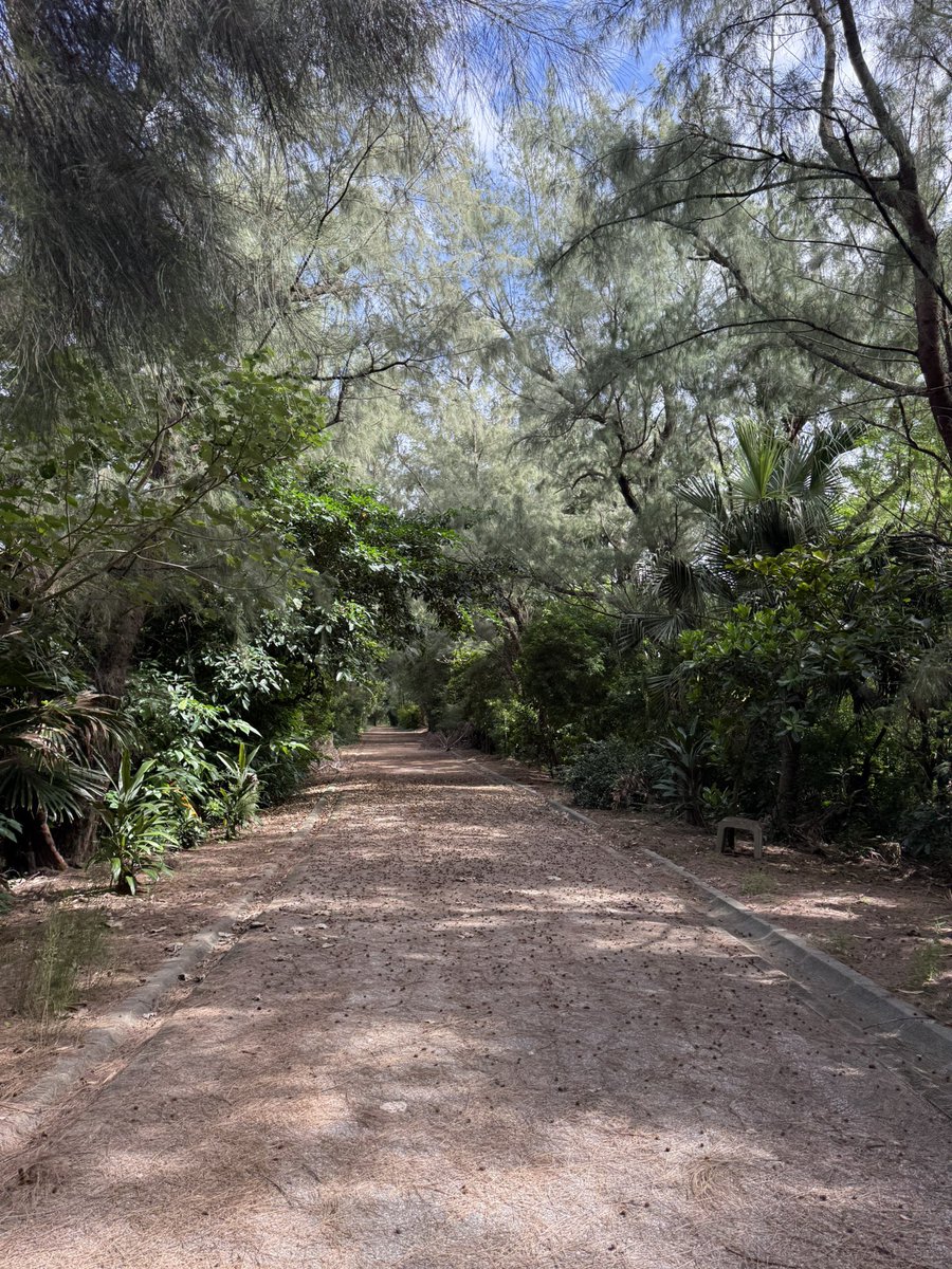 娘がマラソン大会に出たいというのでちょこちょこ走り出します。