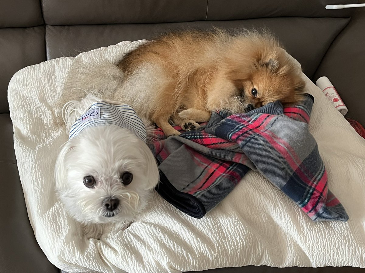 jjddomm's tweet photo. 굿모닝 https://t.co/L8s1XzUmXk