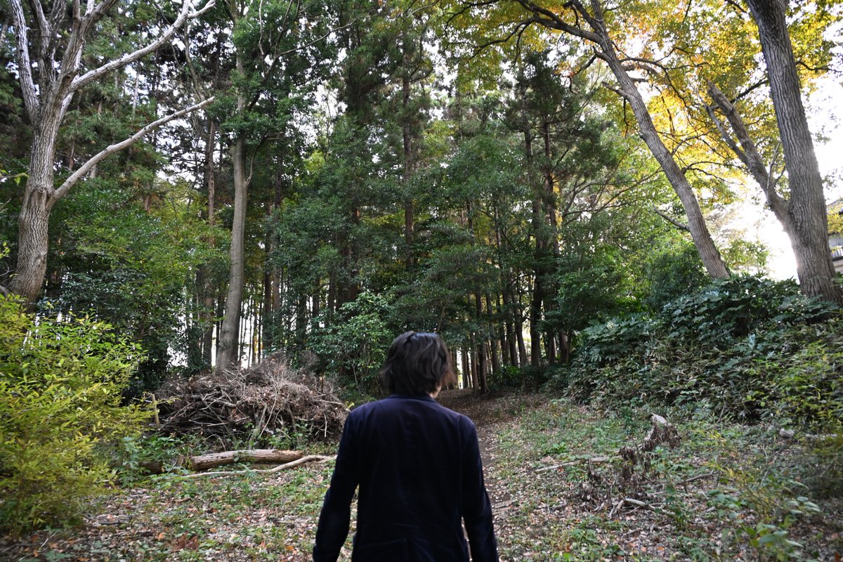 映画『大仏廻国』The Great Buddha Arrival (@daibutsukaikoku