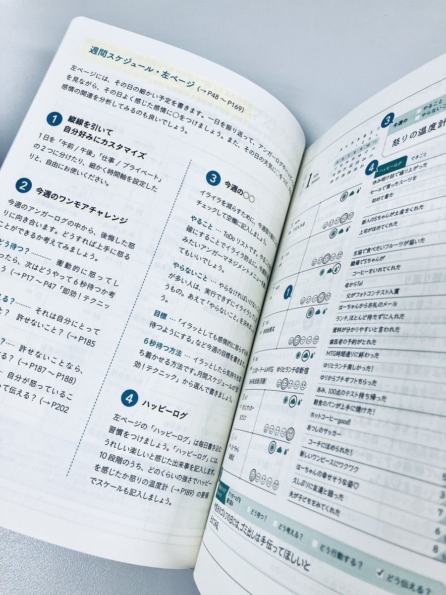 【新刊発売】

-11/14(金)-

『アンガーマネジメント トレーニングブック　2026年版』

日本アンガーマネジメント協会 監修

フォーマットへの記入式で、日常生活のなかでいつでも実践。ストレスフルな時代に手軽に活用して「怒りの体質改善」を！

minervashobo.co.jp/book/b668322.h…