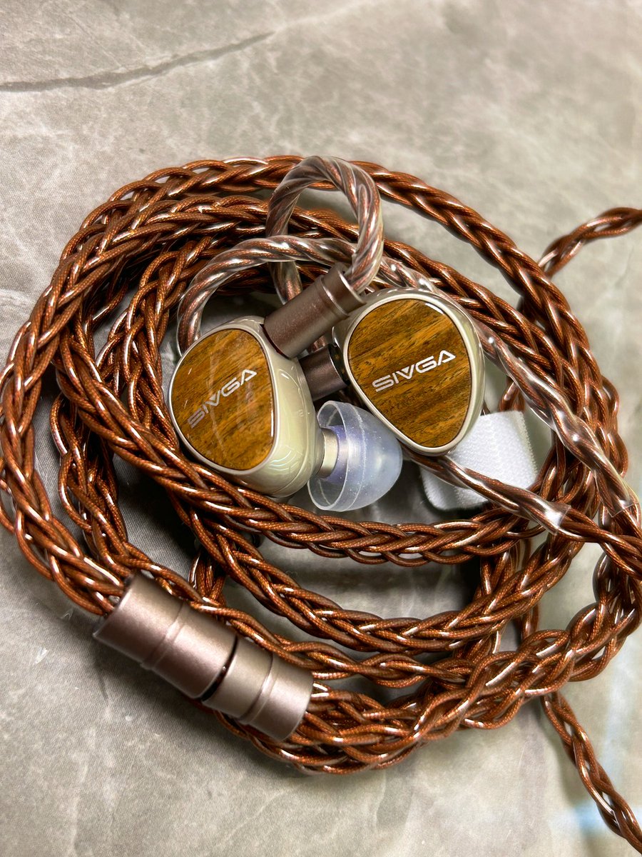 THIEAUDIO Hype 10 ※8月31日まで出品 修 (@syuzol) / Posts / X