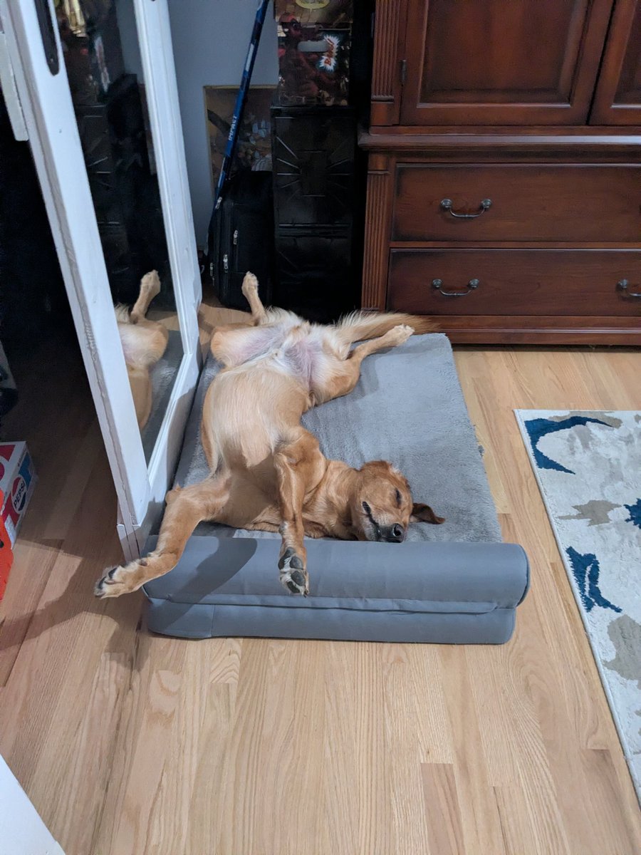 How I sleep knowing I got the majority of my XRP at 20 cents when the SEC dropped the lawsuit on ripple and now we have Wall Street lining up to launch multiple ETFs.