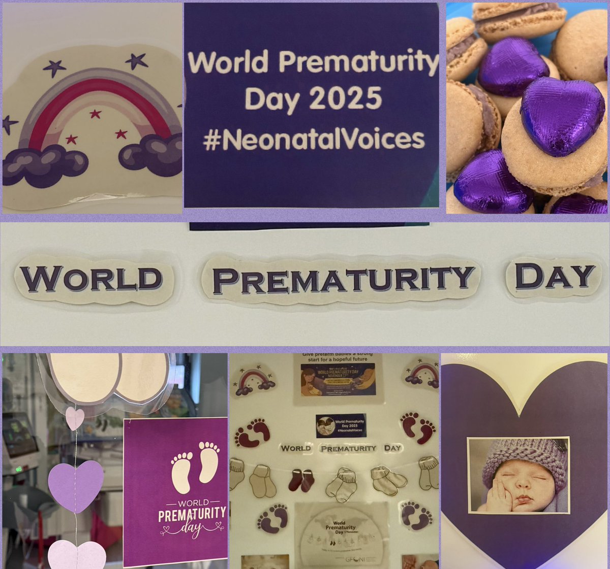 SCBU and Noahs Arc tweet media