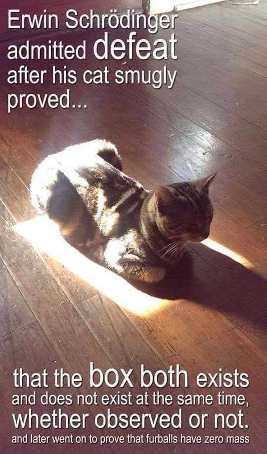 ANONYMOUS ALLREDToDoRoJo✊✌️🏴‍☠️🍀🍉 (@allredtodorojo) on Twitter photo 