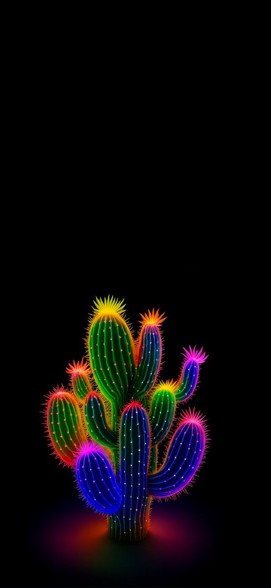 Nice cactus, though 🌵