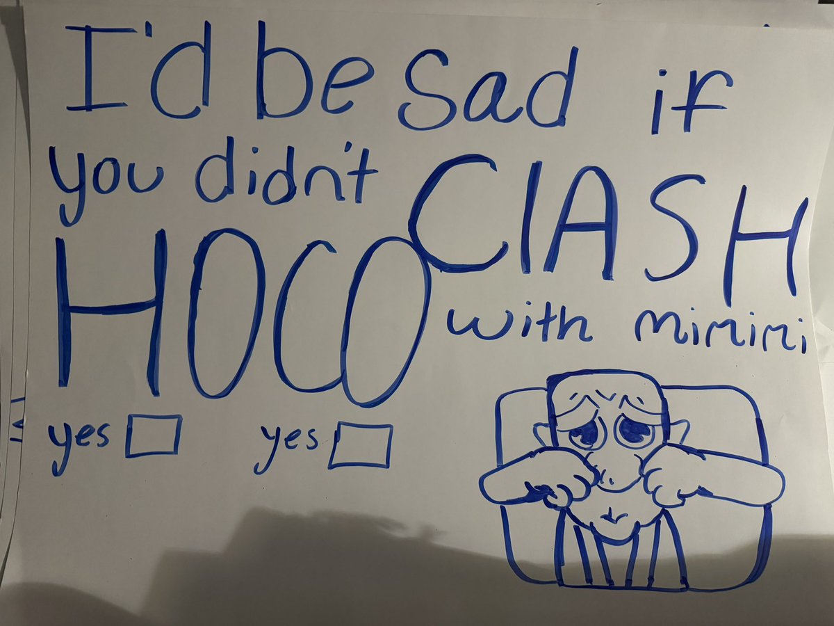 These were my hoco posters for my friends