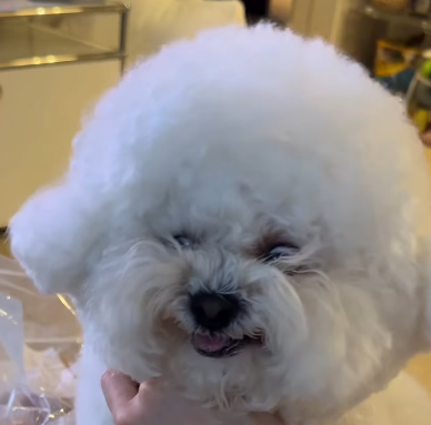 he can kill at any time and will again