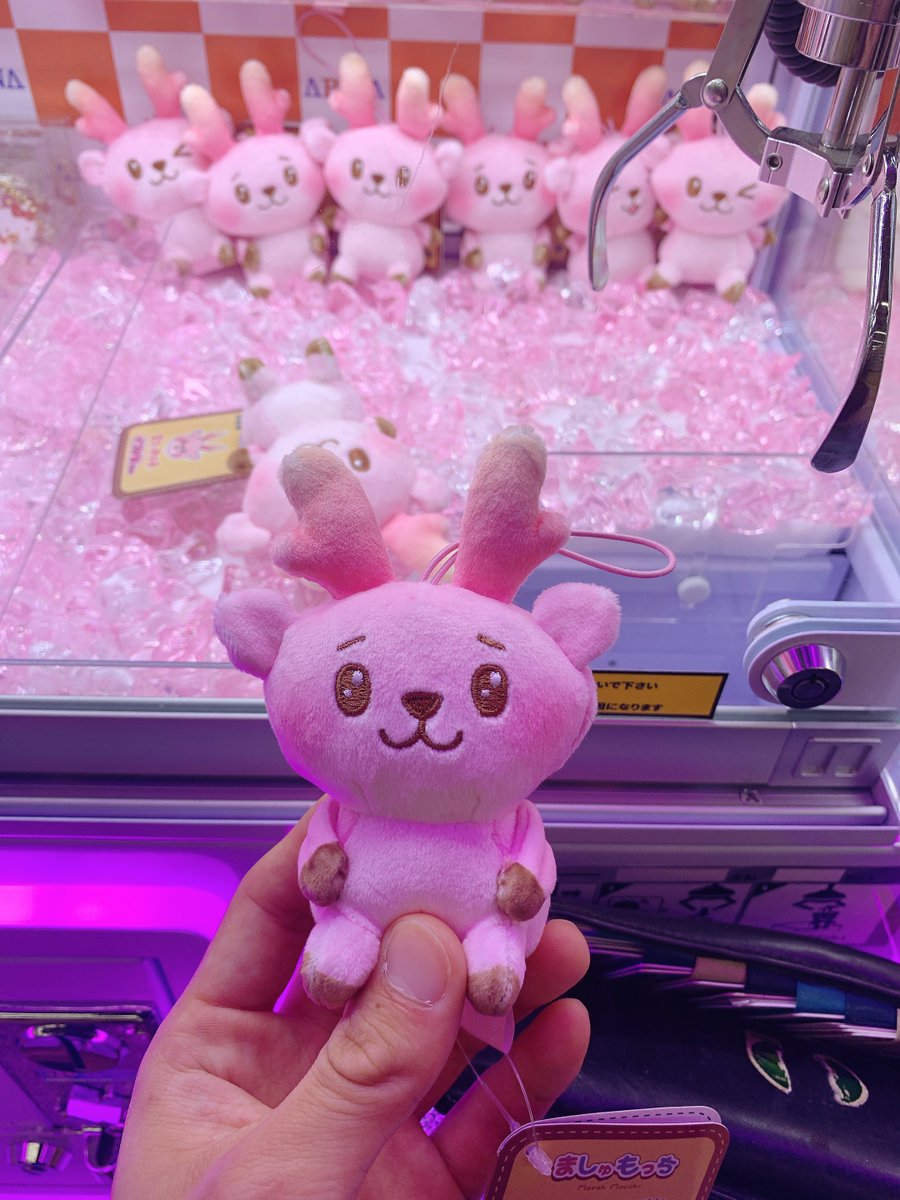 八の字眉とれたーーーーー！！！
この子に2500円ほど吸い取られた〜（笑）

#イワシカ 
#ましゅもっち