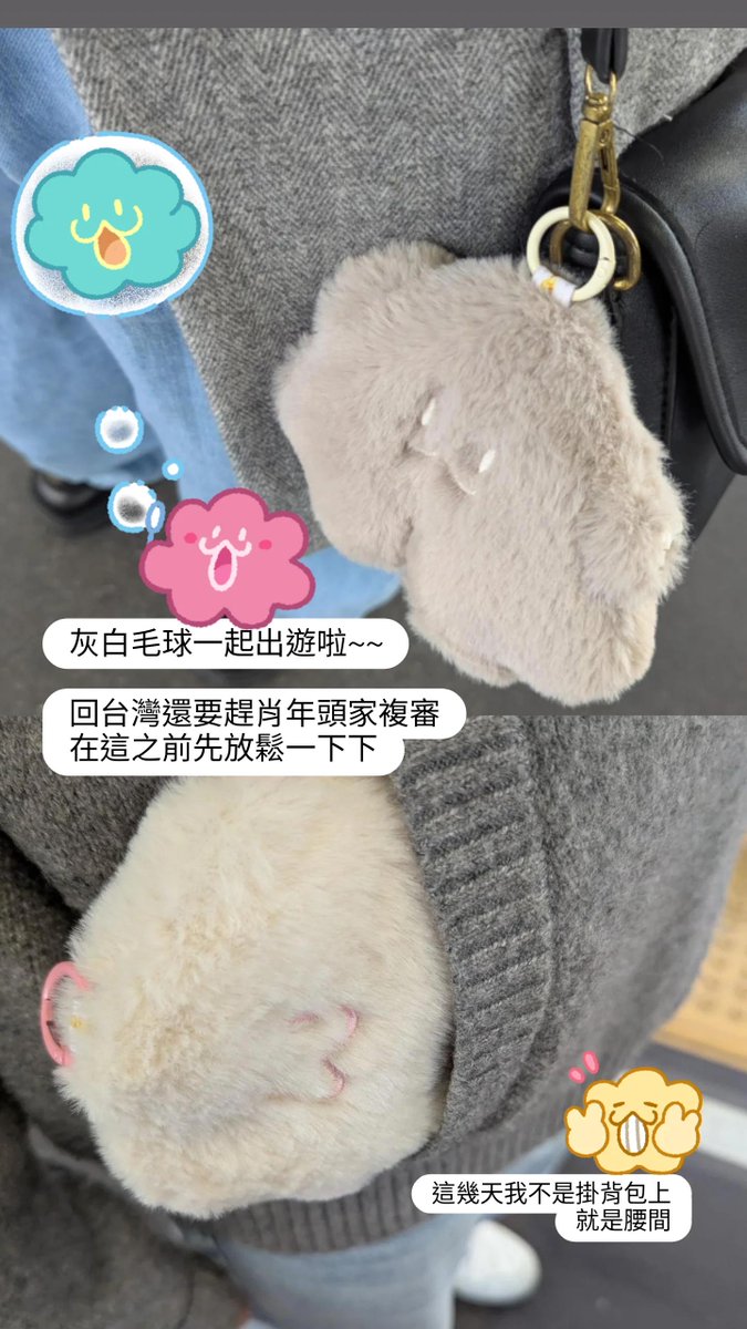 灰色の毛玉と白い毛玉がお出かけです
台湾に戻ってまた忙しくなる前に、ちょっとだけ遊んでみる