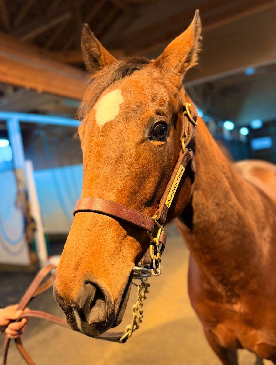 エミリン☆ (@emirin4669) / Posts / X