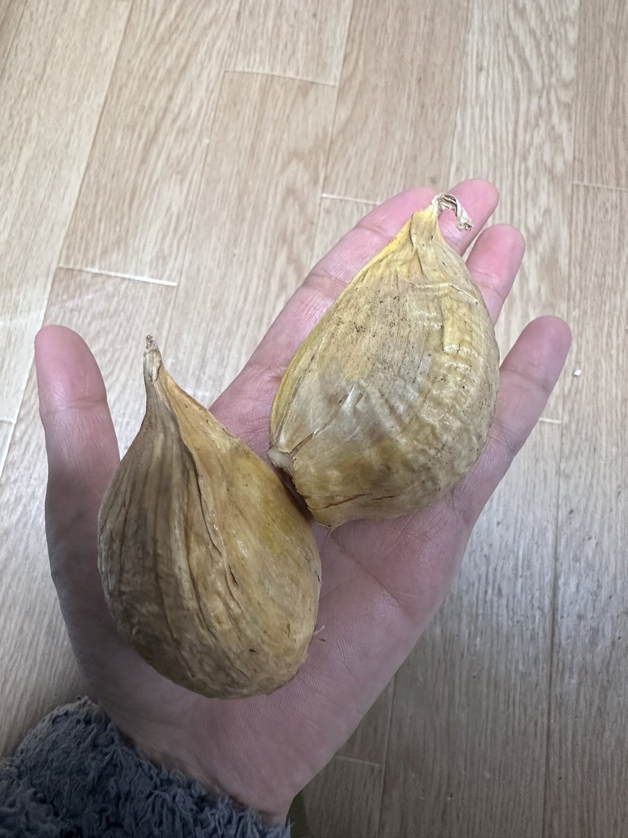 にんにく

デカすぎるやろ‼️
いやデカすぎるやろ‼️

#徳島