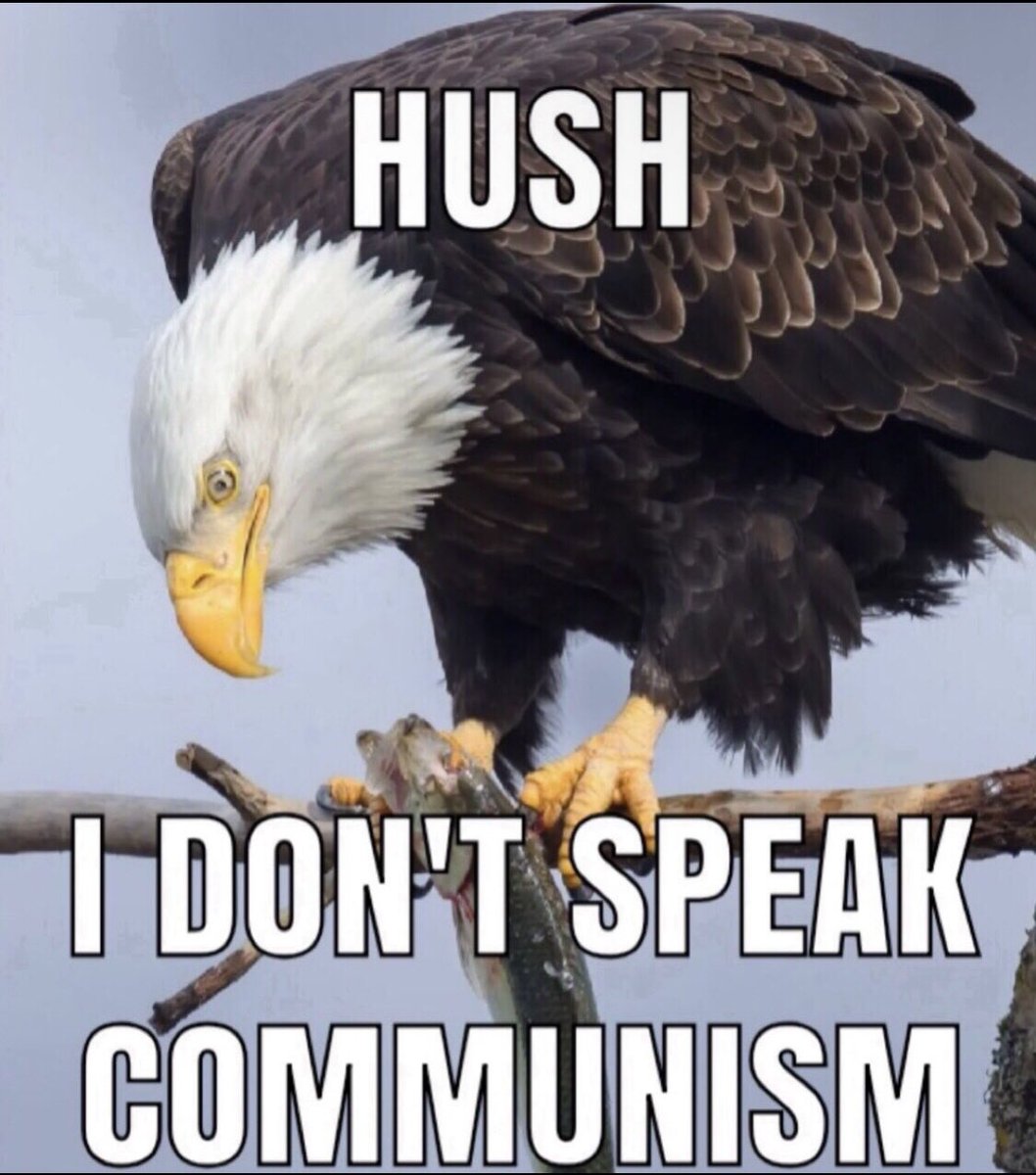 <a href="/AntiLeftMemes/">Anti Left Memes</a>