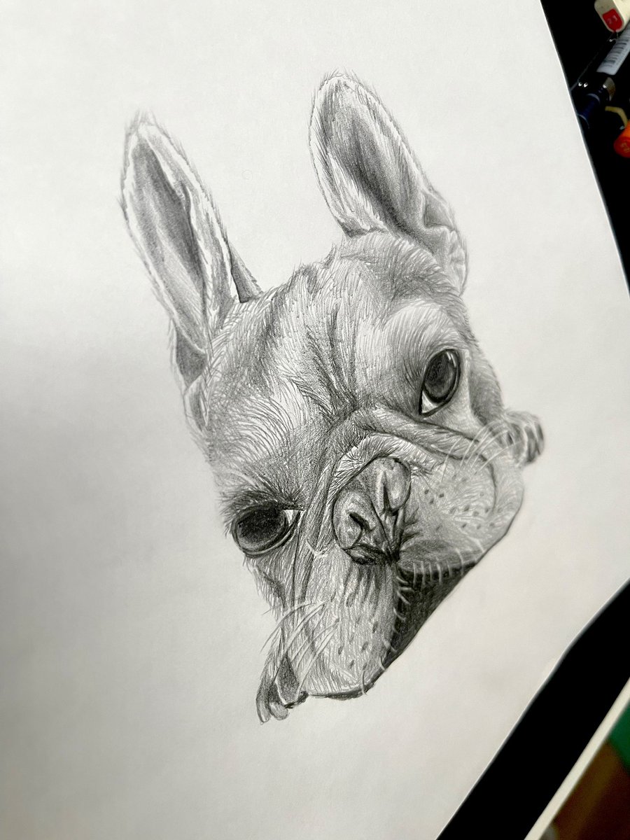 NiWartwork's tweet image. New drawing.

Dog: 𝒑𝒖𝒈

短毛の質感と独特の肉感は、描きながら改めて難しさを感じました。
それでも、大きな瞳に宿る意志のようなものがとても印象的で、
向き合うほどに惹きつけられるパグ🐕 ͗ ͗でした。

A4 size
3mm Sharp pencil

#pencilart
#analog
#drawing