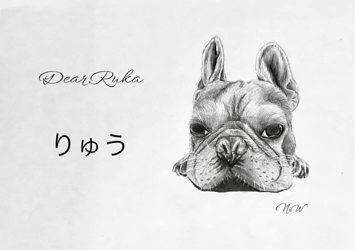 NiWartwork's tweet image. New drawing.

Dog: 𝒑𝒖𝒈

短毛の質感と独特の肉感は、描きながら改めて難しさを感じました。
それでも、大きな瞳に宿る意志のようなものがとても印象的で、
向き合うほどに惹きつけられるパグ🐕 ͗ ͗でした。

A4 size
3mm Sharp pencil

#pencilart
#analog
#drawing