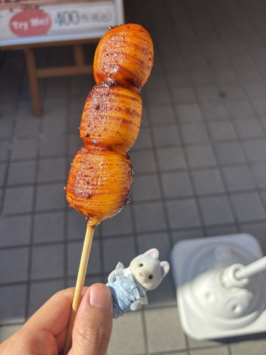 でっかいお団子食べたよ🍡