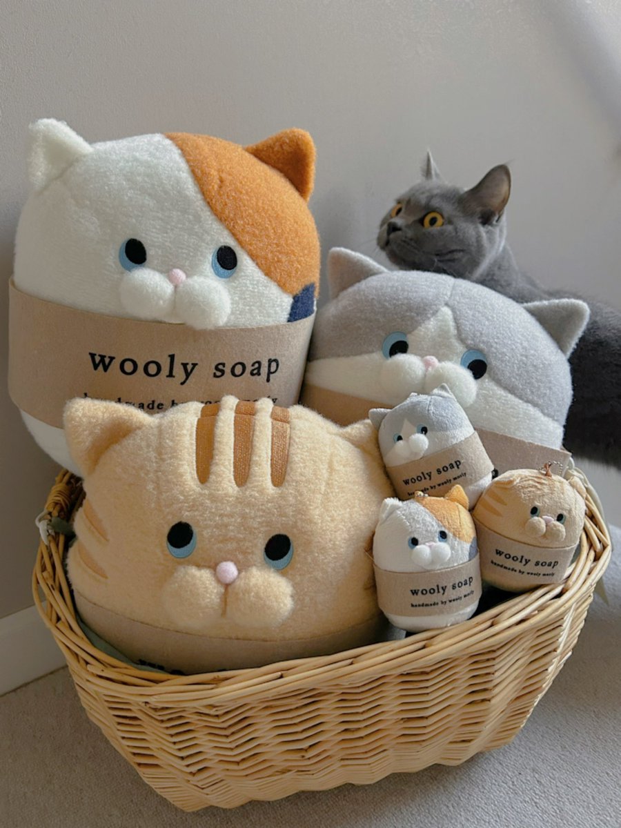 羊毛石鹸作家の妻、wooly morly のねこせっけんが、まさかの