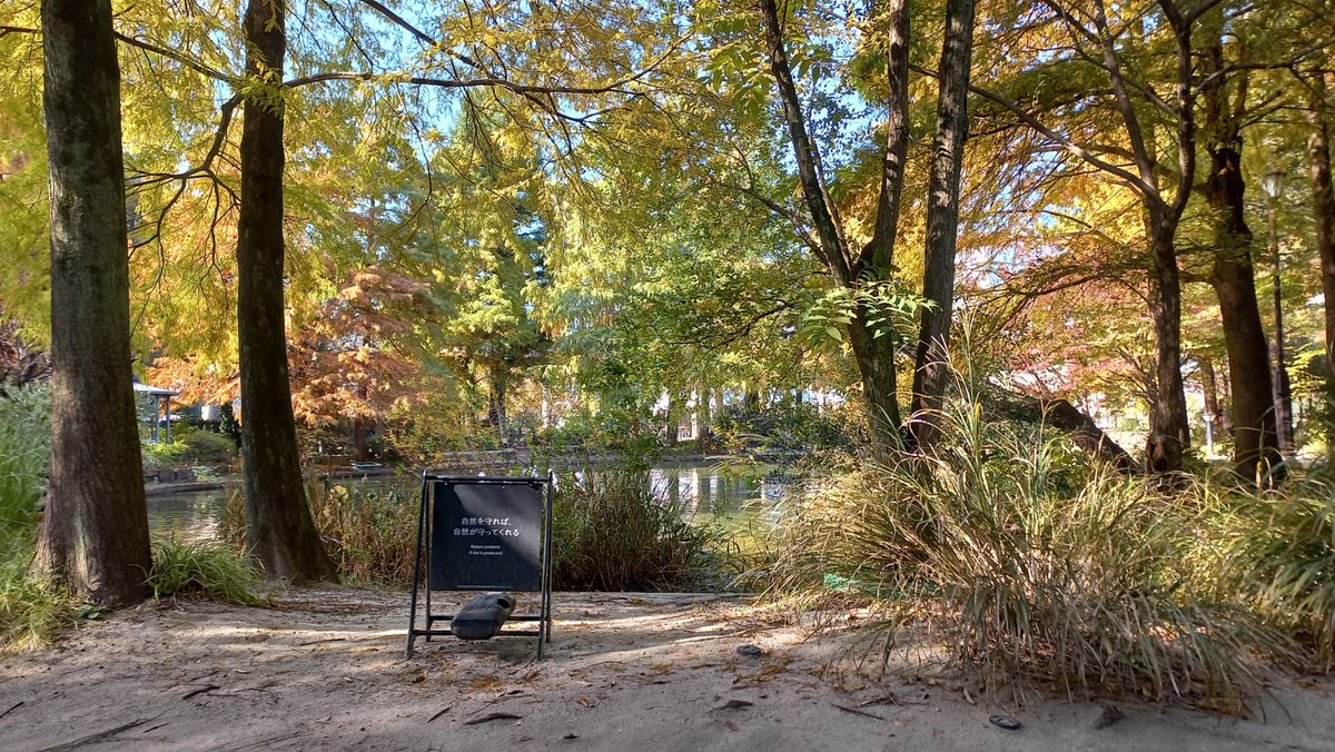 똥개とんけ tweet media