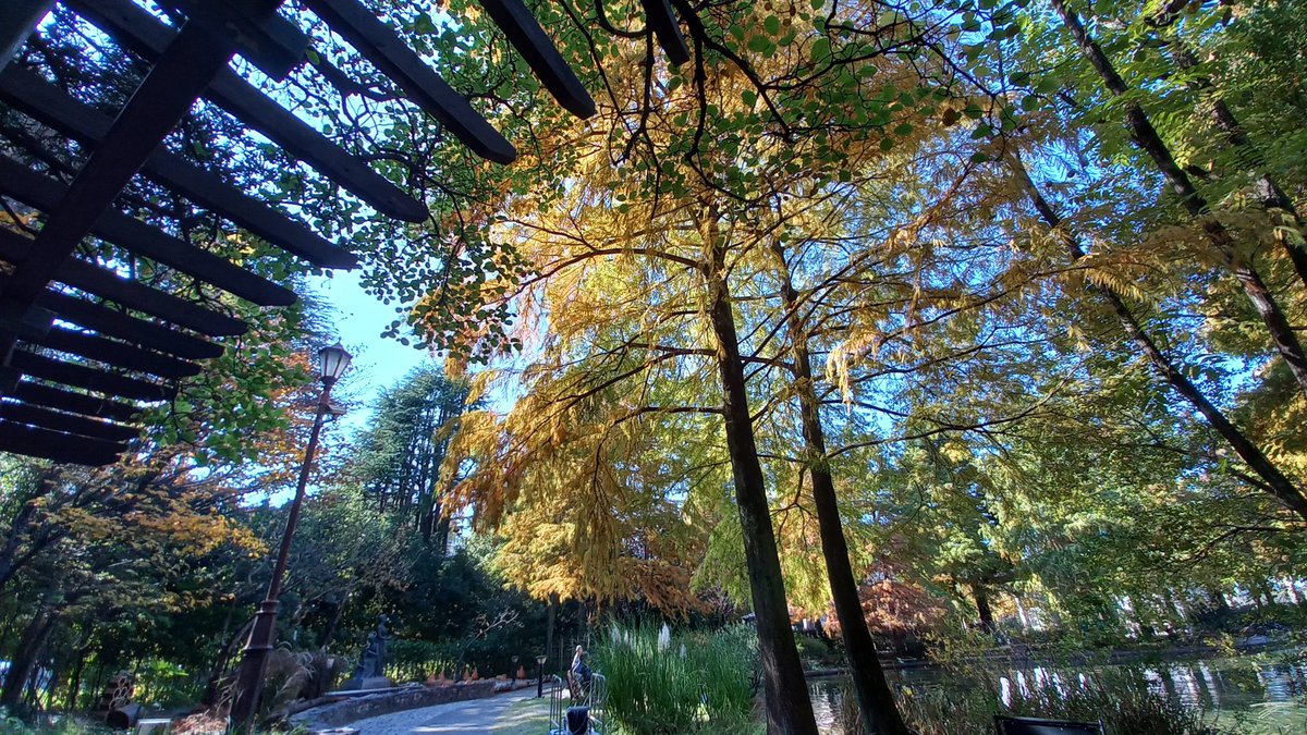 똥개とんけ tweet media