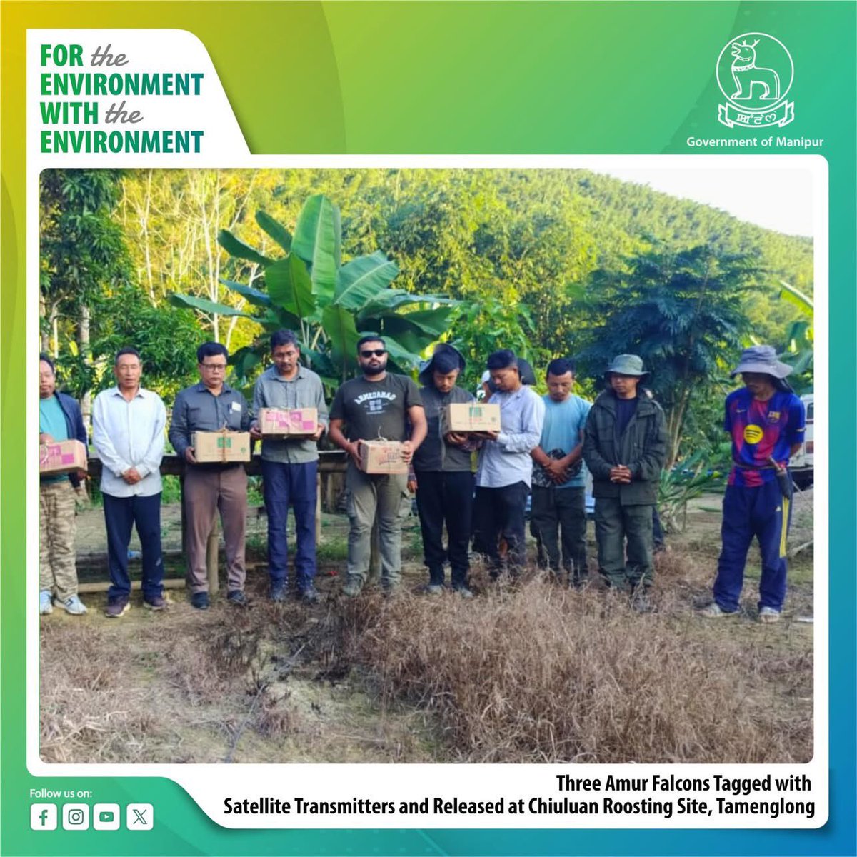 TRBRajaa's tweet image. The #AmurFalcon is basically what you’d get if Mother Nature decided to make a bird sized Bugatti 🔥

This tiny birdie which barely weighs as much as an iPhone, casually flies over 22,000 kms a year, with a mind-blowing 3,000+ km NON-STOP ocean crossing over the Arabian Sea. IN…