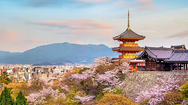zmgungon's tweet photo. SMCCCD's study abroad program will be hosting its third informational session about studying abroad in Kyoto, Japan in the summer of 2026! This is an amazing  opportunity for anyone looking to see more fo the world. https://t.co/0VNEy6QkXj