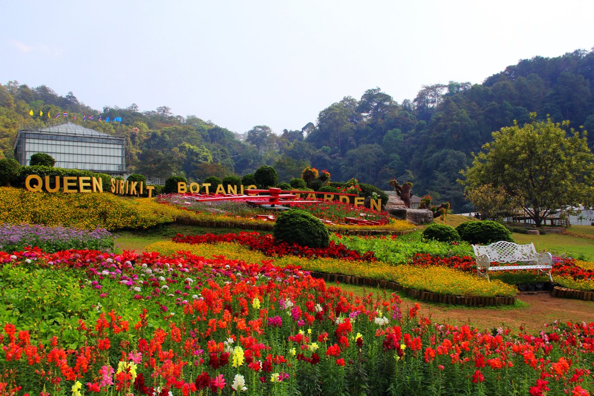 Botanic1234's tweet image. ฤดูหนาวนี้ ......สำหรับท่านที่กำลังมองหาสถานที่เที่ยวสักแห่ง #สวนพฤกษศาสตร์สมเด็จพระนางเจ้าสิริกิติ์ อ.แม่ริม จ.เชียงใหม่ เป็นอีกสถานที่ๆ ไม่ควรพลาด ซึ่งท่านจะได้สัมผัสความสวยงามของพรรณไม้ และอากาศที่เย็นสบายตลอดช่วงฤดูหนาว บนยอดเขาสูง 800 เมตร จากระดับน้ำทะเล