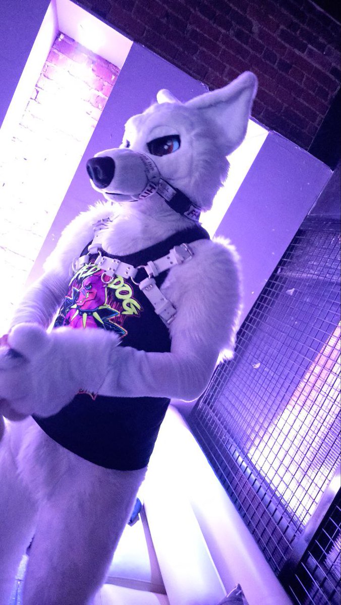🐺 Frosty 🔜 FWA tweet media