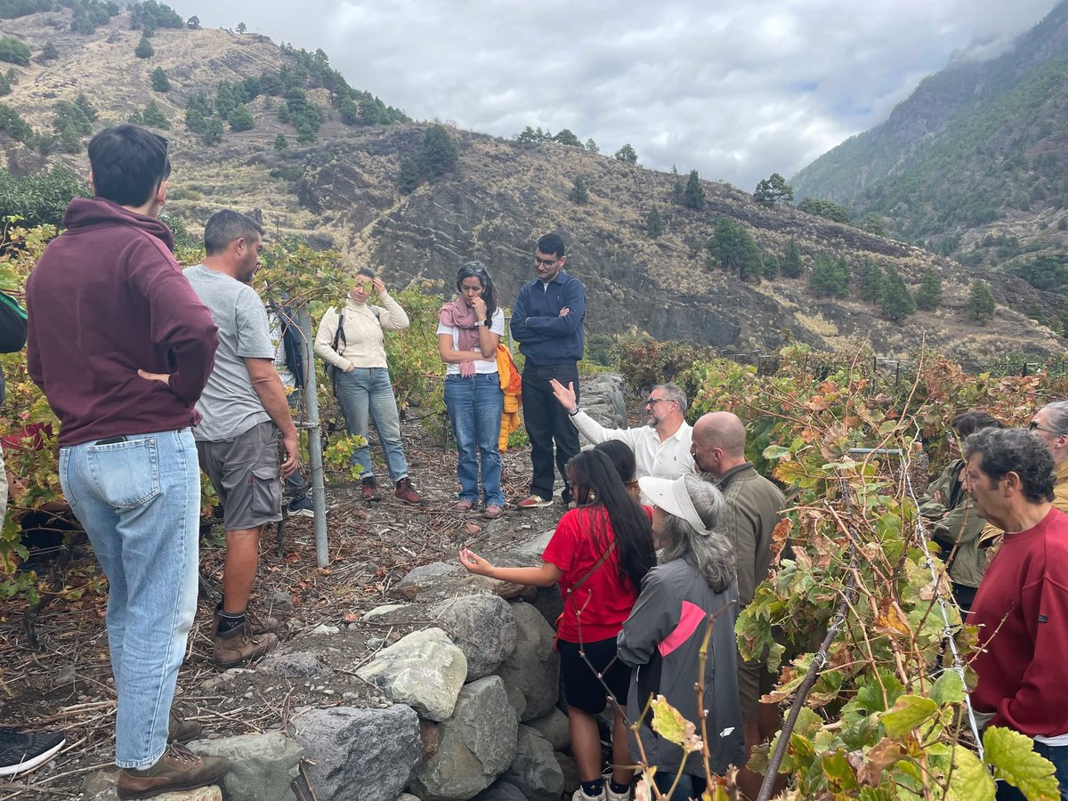 🟢 La Universidad de Otoño de La Palma impulsa la formación en Viticultura Regenerativa y Análisis Sensorial con un curso especializado orientado al futuro del sector
ℹ️ gastronomia7islas.com/la-universidad…
#Gastronomia7islas <a href="/CabLaPalma/">Cabildo de La Palma</a> <a href="/enoturismoull/">Cátedra de Agroturismo y Enoturismo de Canarias</a>